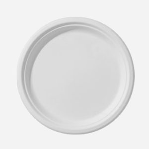 Disposable Round Plates- ECOWAY GLOBAL LLC